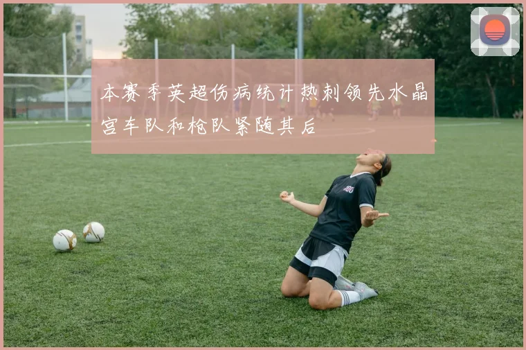 本赛季英超伤病统计热刺领先水晶宫车队和枪队紧随其后
